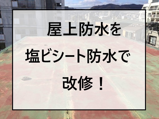 広島市中区、築30年以上RC造3階建て シート防水劣化の改修工事開始！