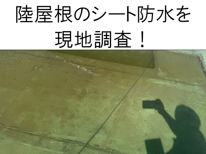 呉市｜陸屋根のシート防水の劣化で雨漏り発生！塩ビシート防水IH工法をご提案