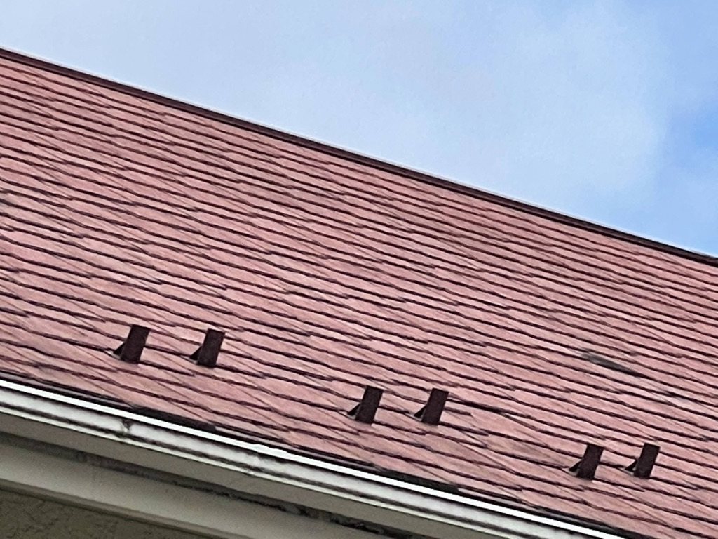 屋根遮熱塗装