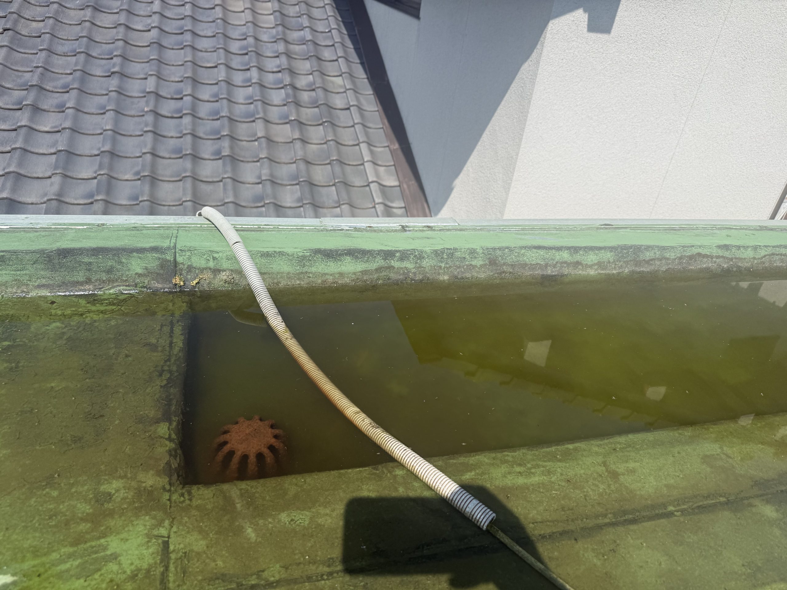 屋上の排水口（ドレン）では排水不良