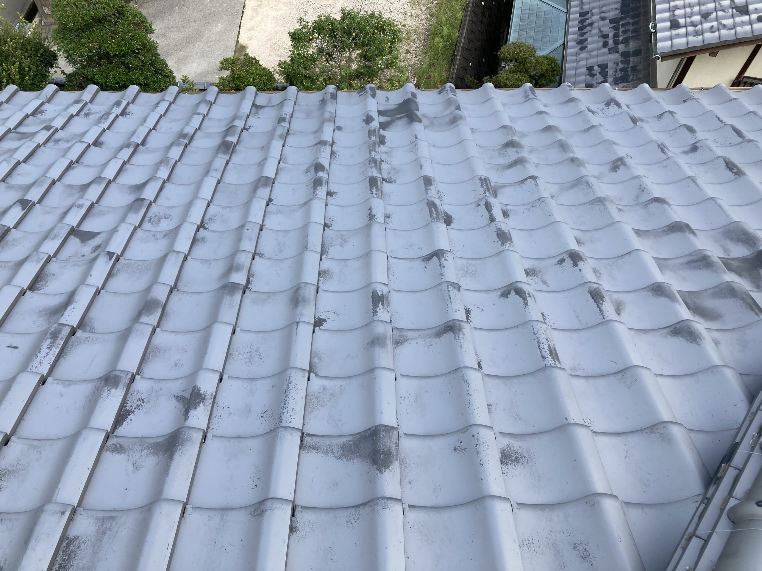 屋根全体の状態を確認しました