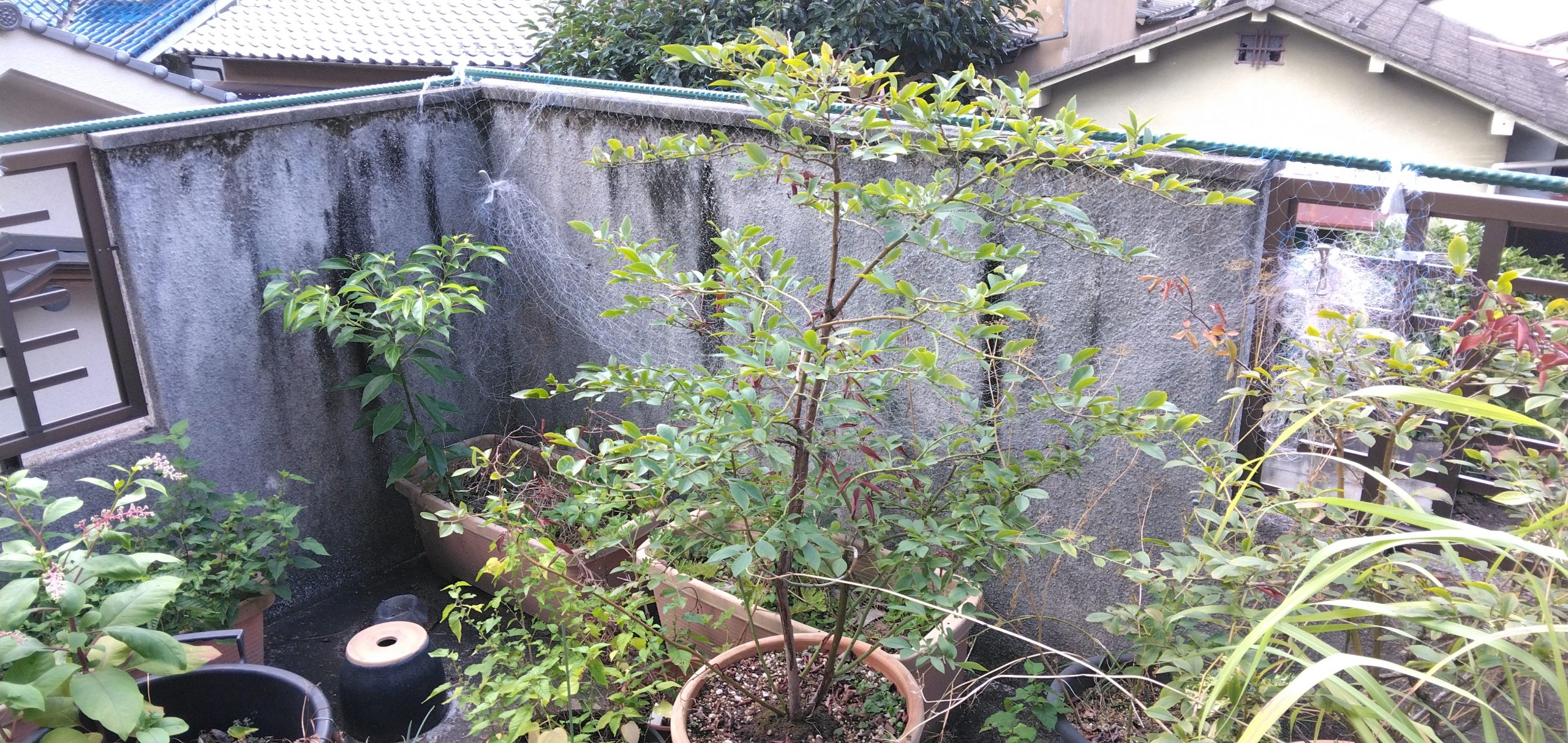 建物全体に経年劣化が見られました