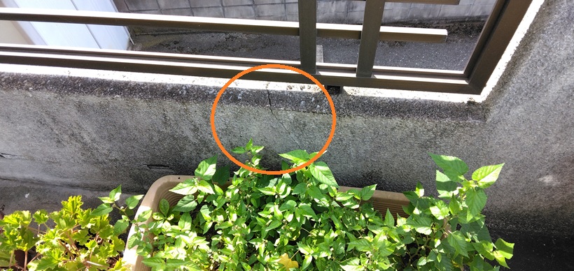 コンクリート塀にひび割れが発生していました