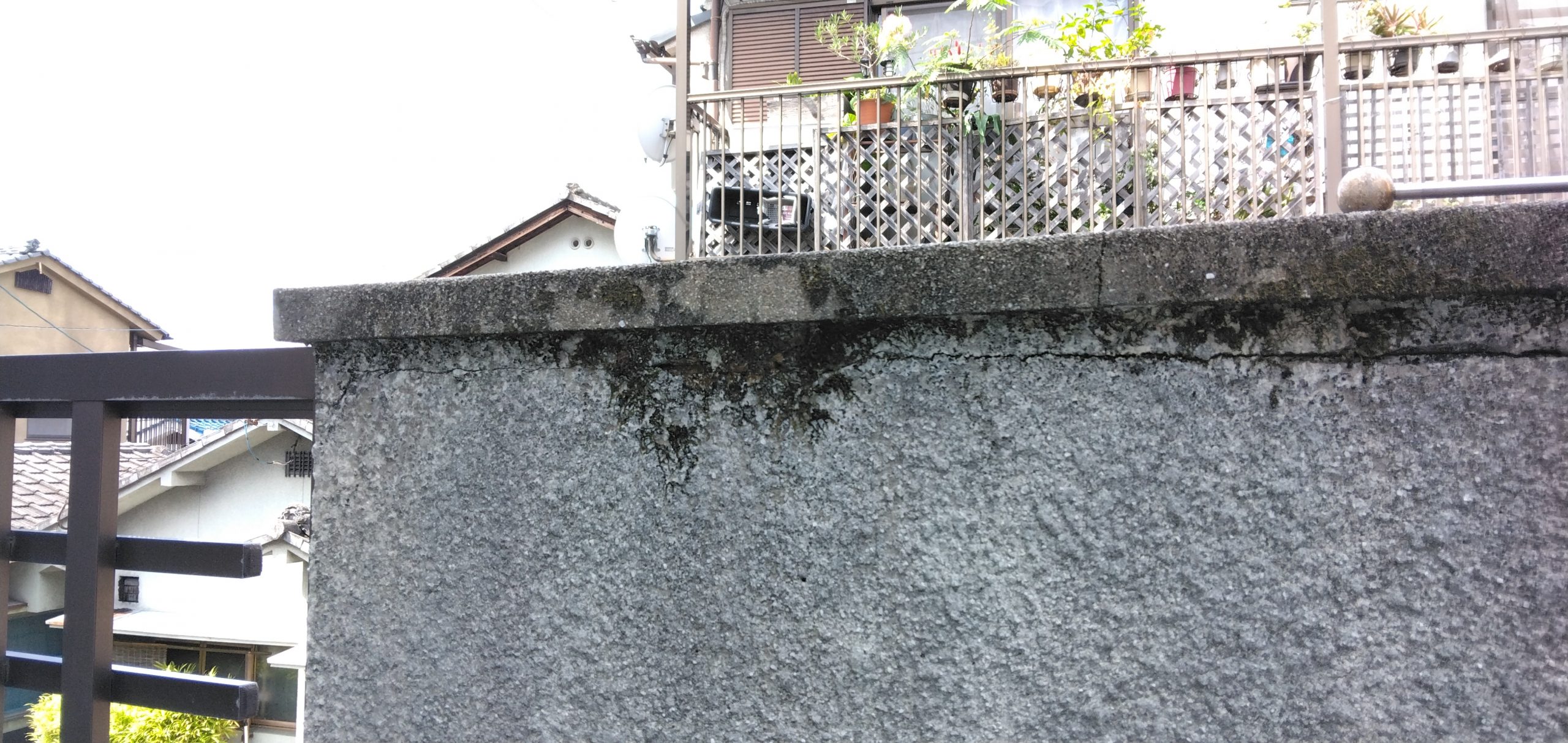 笠木まわりにひび割れとコケの発生を確認