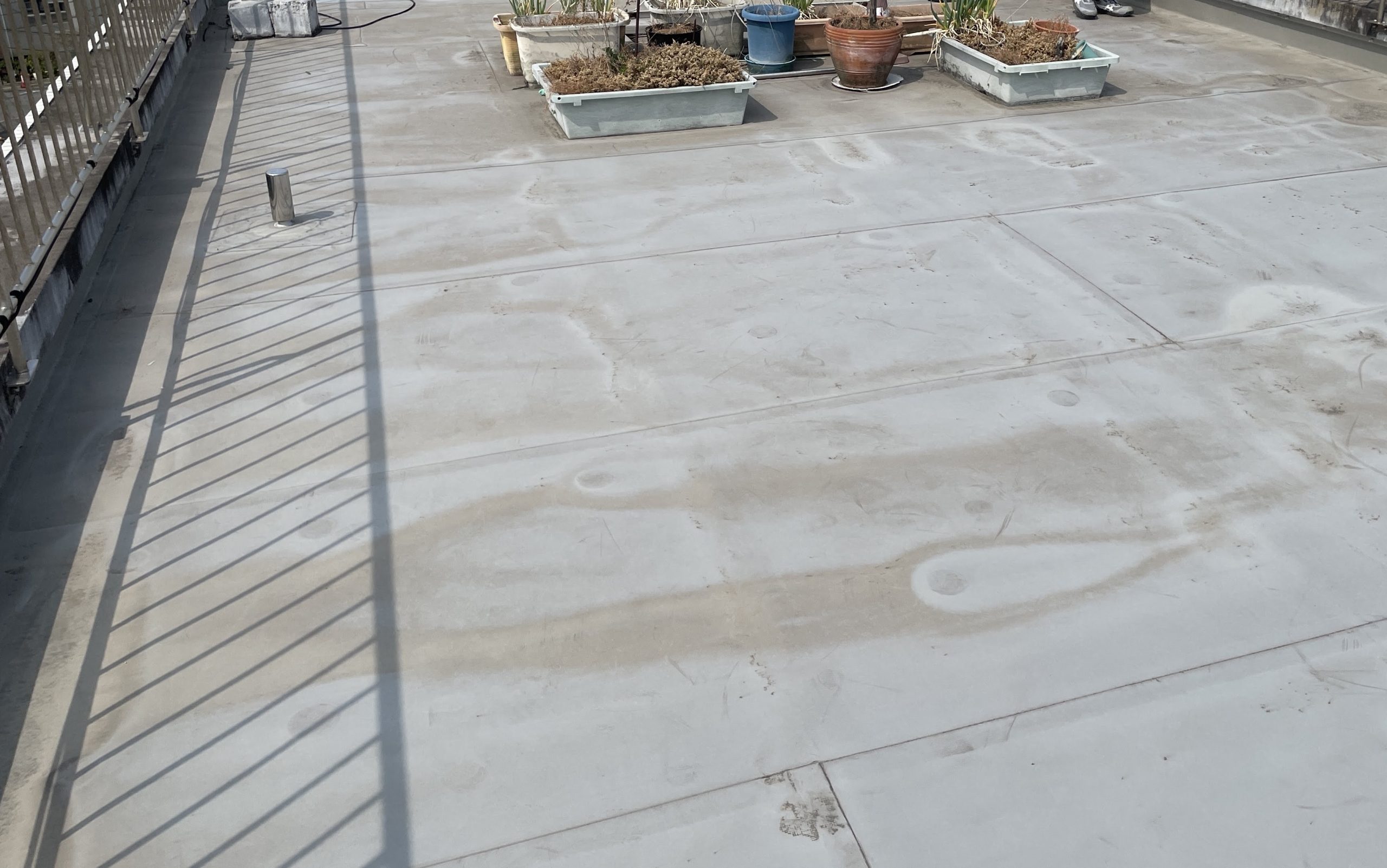 平場全体の調査