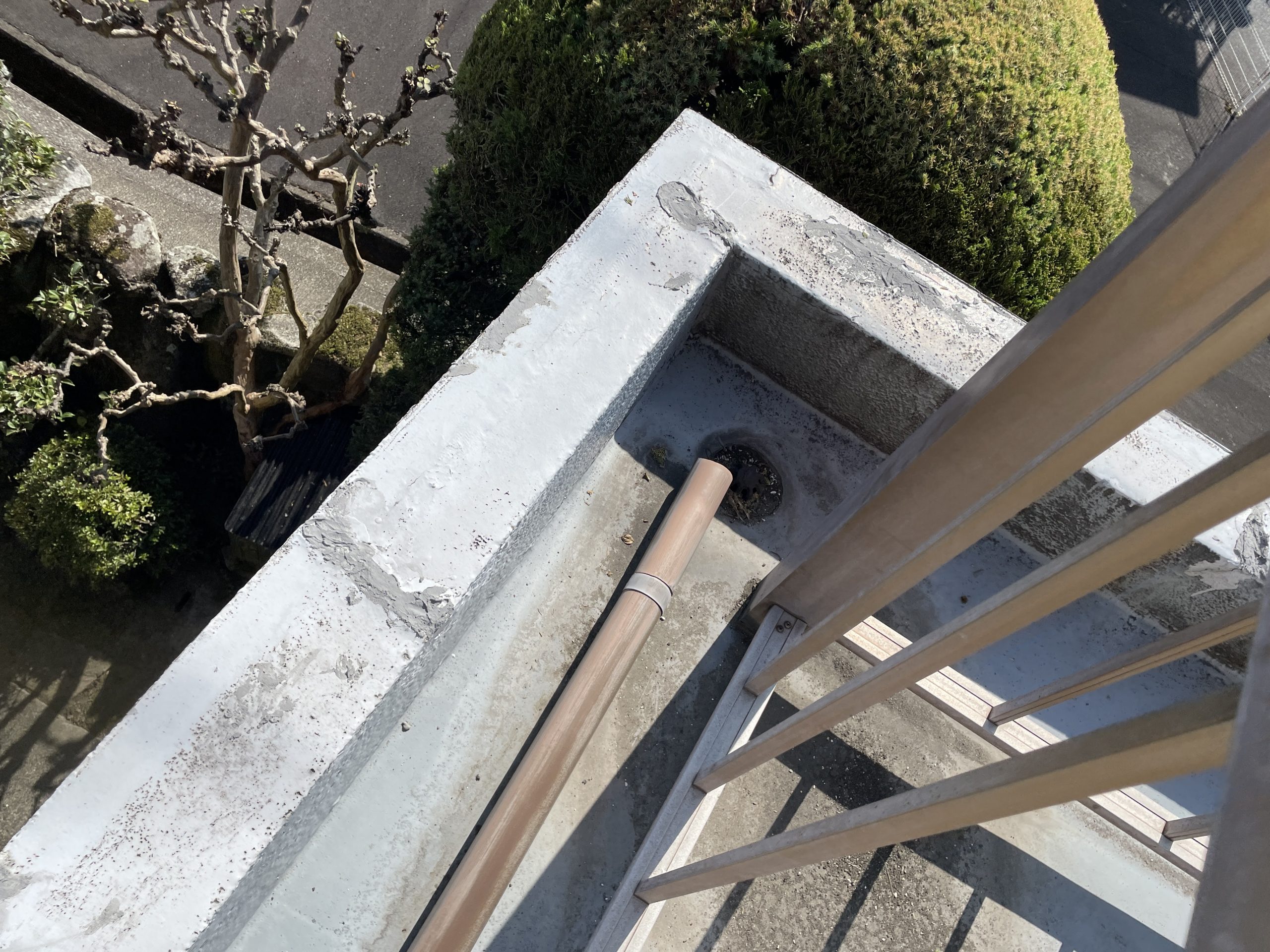 排水口まわりに汚れが堆積していました