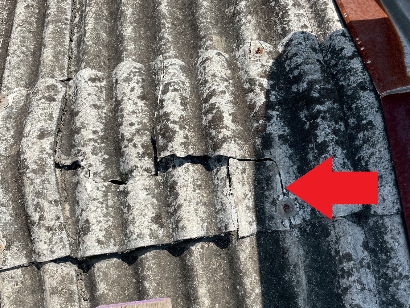 棟部の割れも見られます