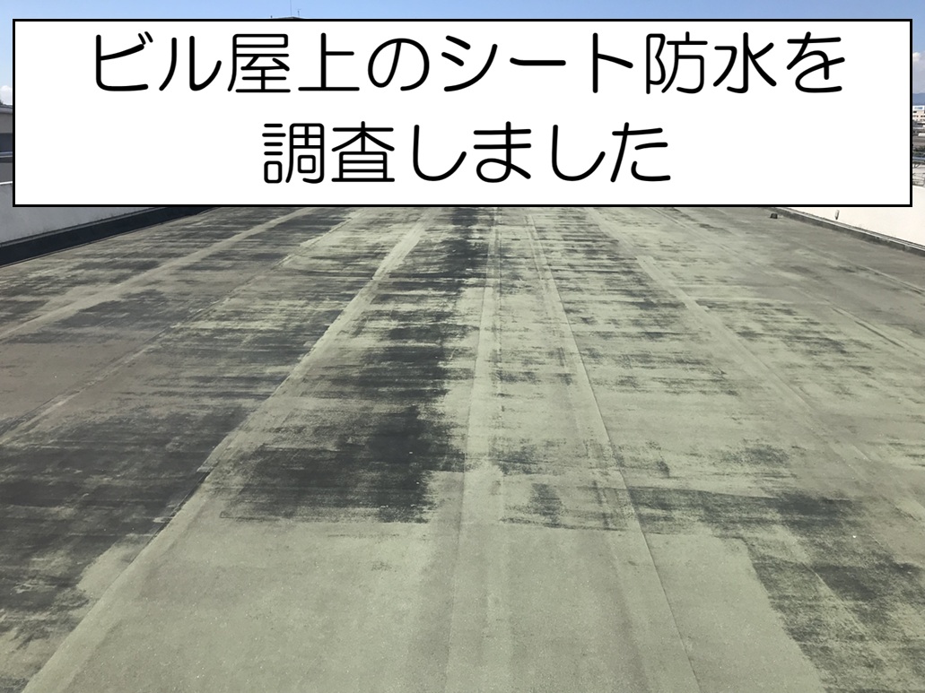 広島市南区　屋上に雑草が生えていたら要注意！ビル屋上のシート防水を調査