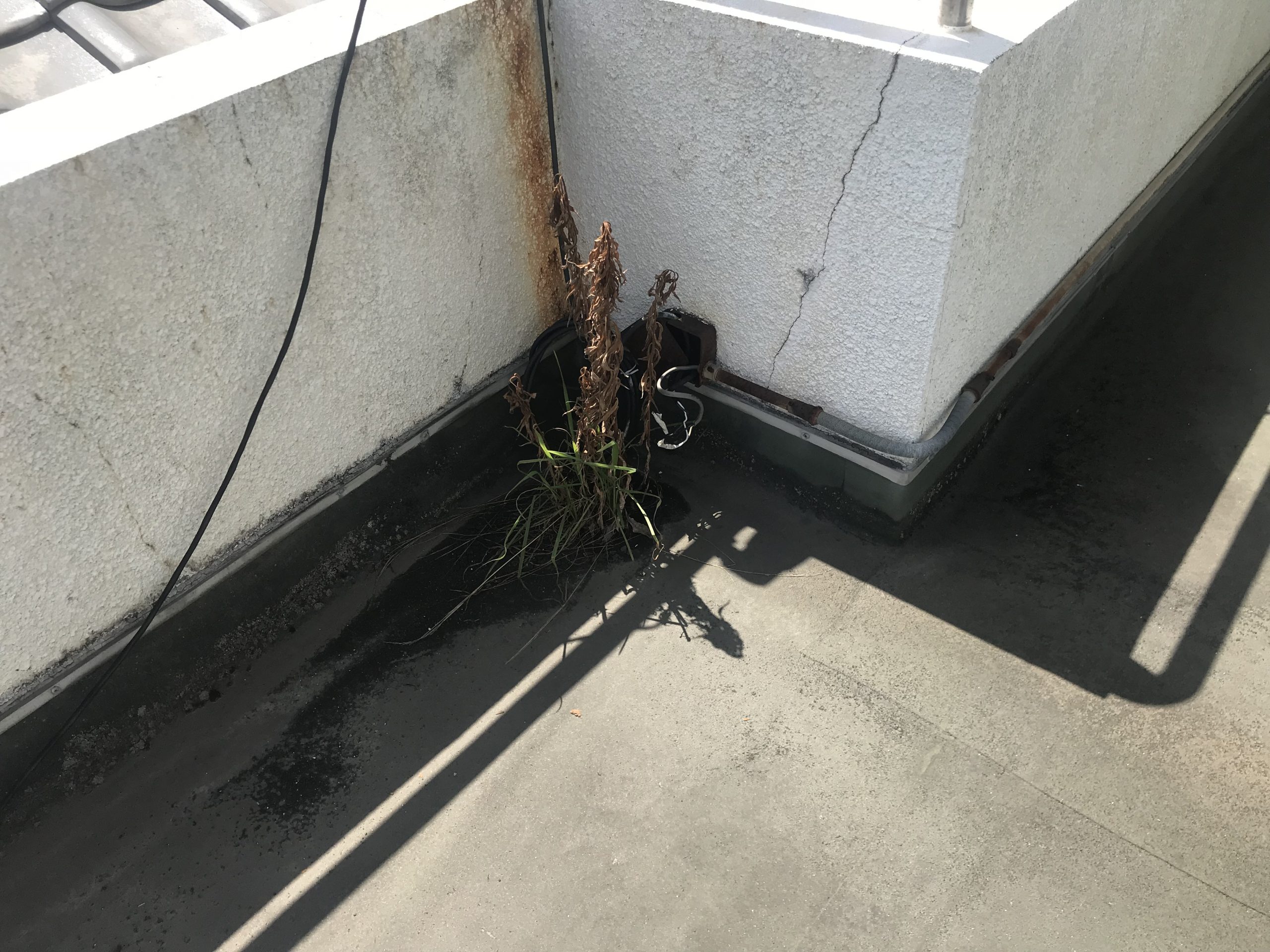 立上り部・排水周辺の劣化とひび割れ