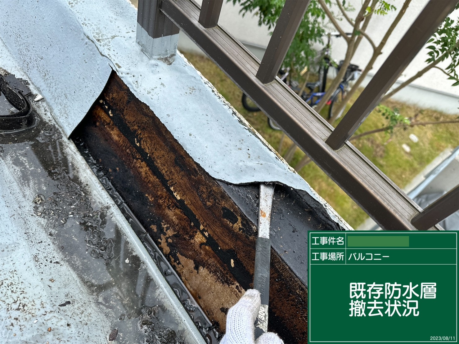 既存防水層の撤去