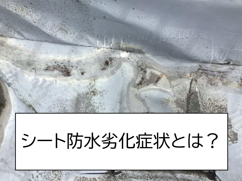 広島市東区　防水シートの浮き・破れは危険？バルコニーの劣化を現地調査
