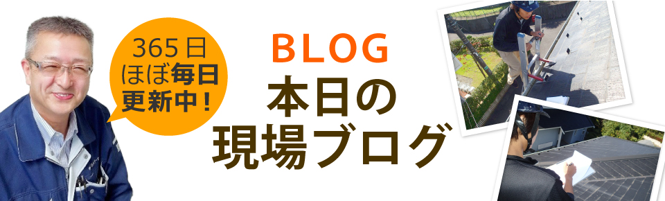 広島市、東広島市、廿日市市やその周辺エリア、その他地域のブログ