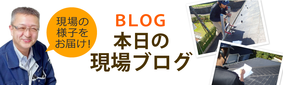 広島市、東広島市、廿日市市やその周辺エリア、その他地域のブログ