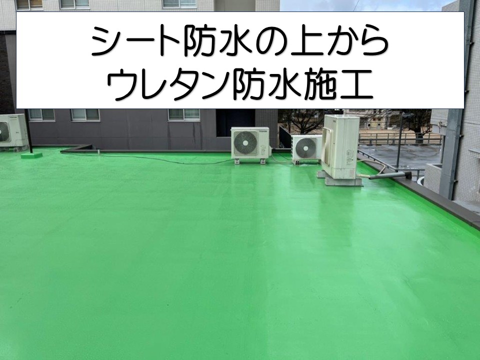 広島市南区、劣化したシート防水を補修｜ウレタン防水重ね塗りで屋上の防水性能を回復！