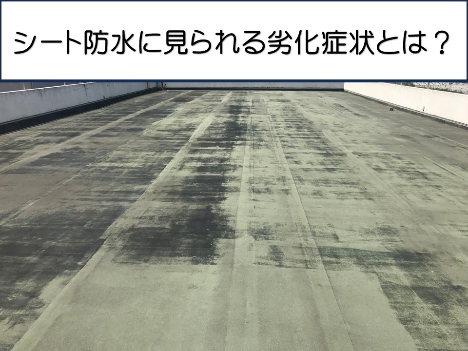 広島市中区、ビルで屋上防水調査｜シート防水の劣化が雨漏りにつながる前に点検！