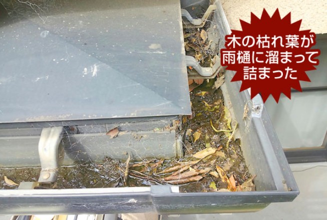雨樋がつまている