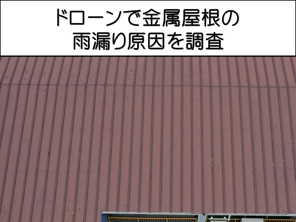 広島市南区、法人・施設向け屋根調査｜瓦棒屋根の雨漏り原因と改修方法とは？
