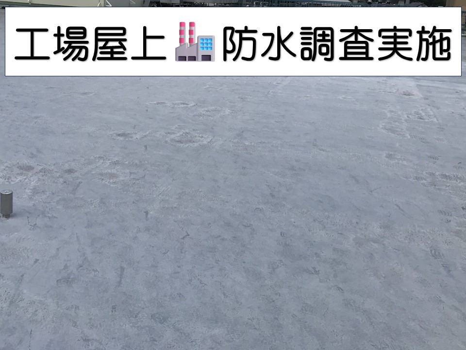 広島市西区、工場屋上のウレタン防水調査｜トップコート劣化は早期補修が重要！
