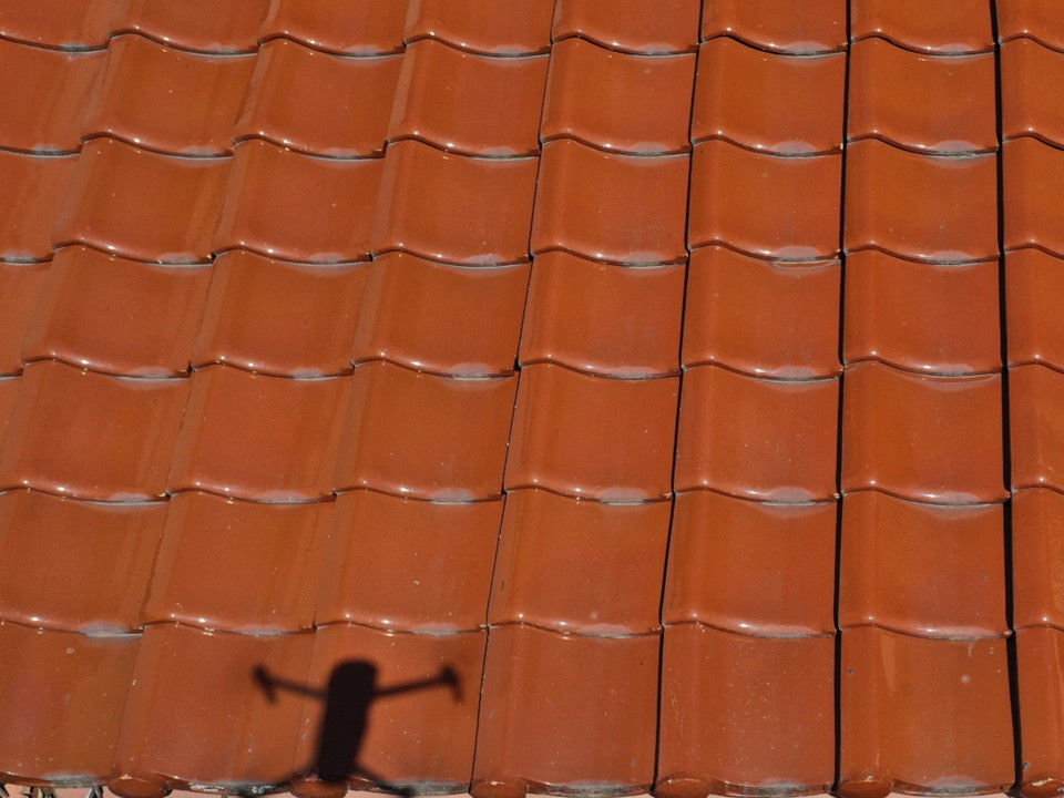 瓦全体の調査です