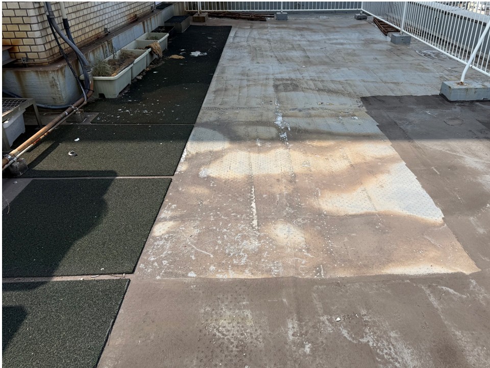 屋上全体の状態確認