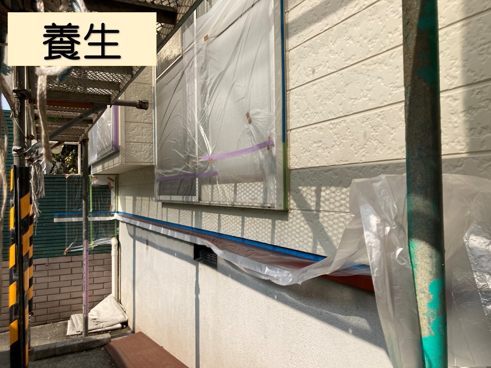 養生