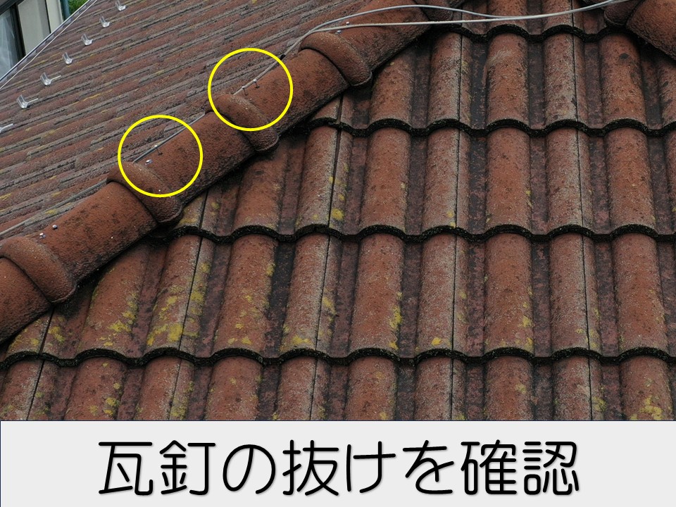 調査写真です