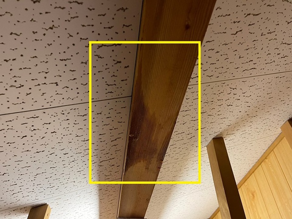 室内の梁に広がる雨染み