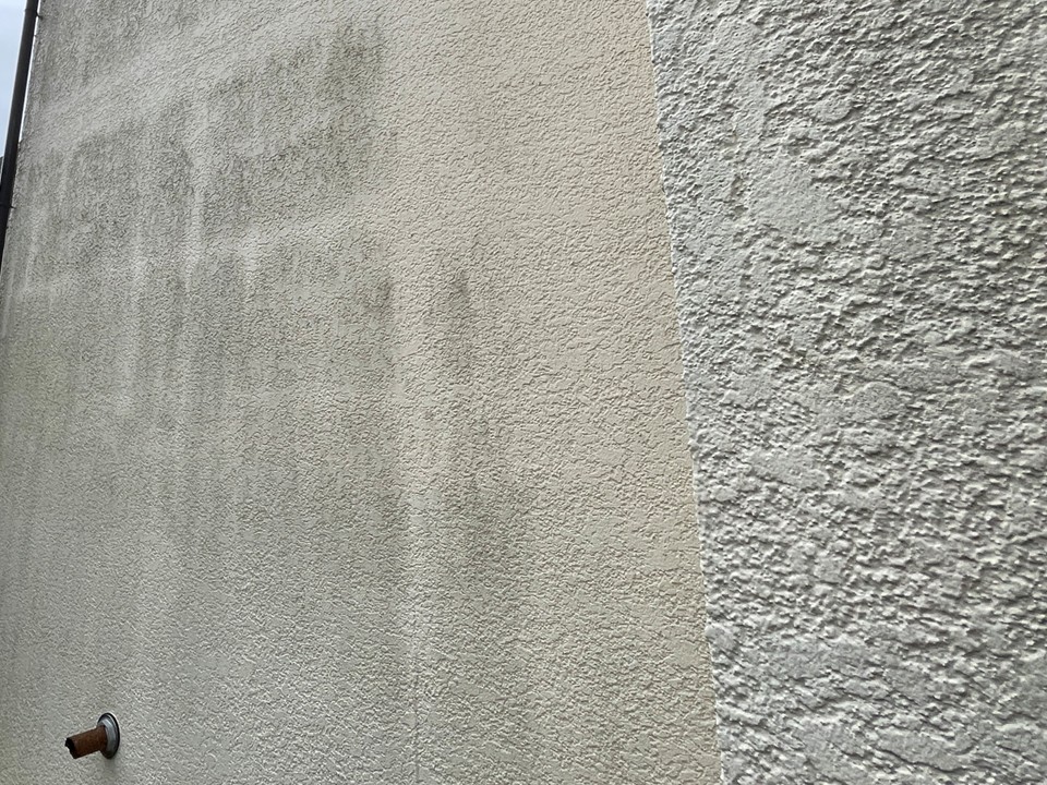 外壁のチョーキング現象・苔や藻の発生