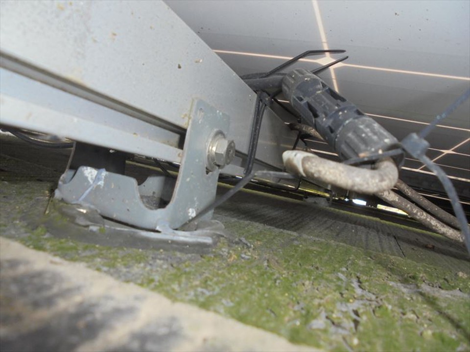 太陽光パネル下に発生した苔・湿気トラブル