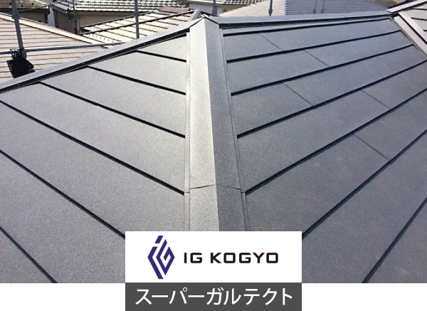 スーパーガルテクトとは