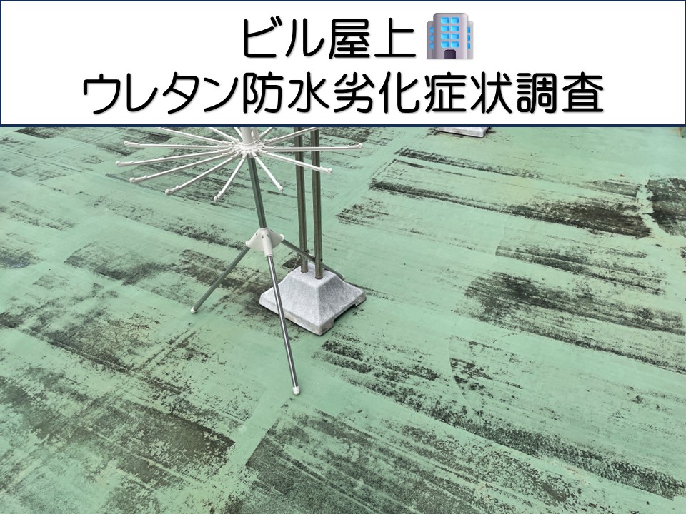 広島市東区、築50年賃貸ビル屋上防水を調査｜ウレタン防水の劣化症状と改修時期とは？