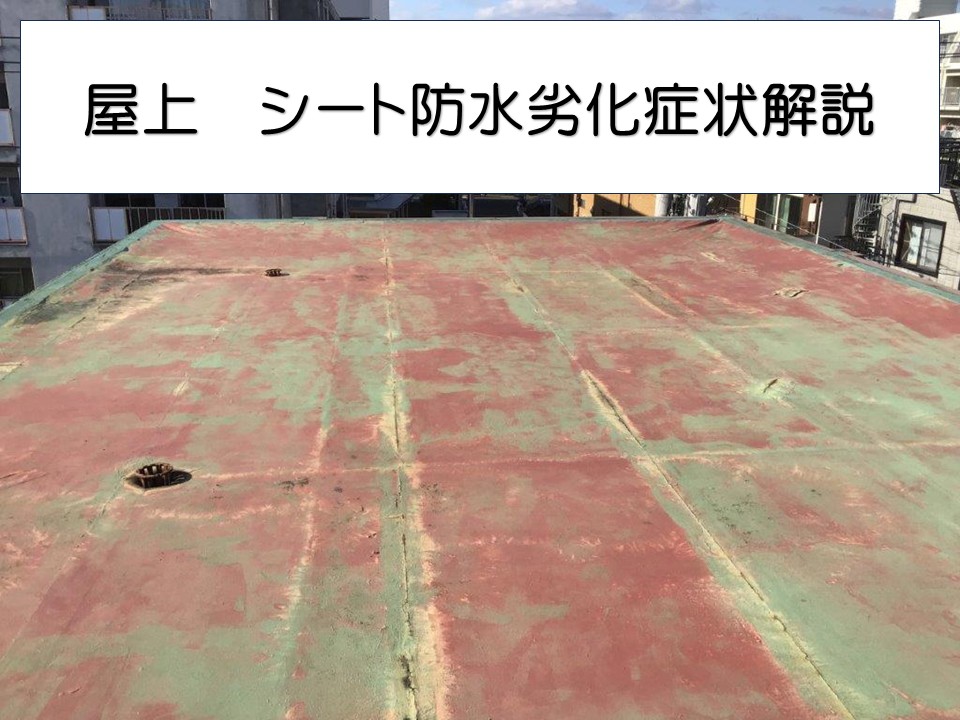 広島市中区、築30年以上RC造3階建て 屋上シート防水の破れと劣化を現地調査！
