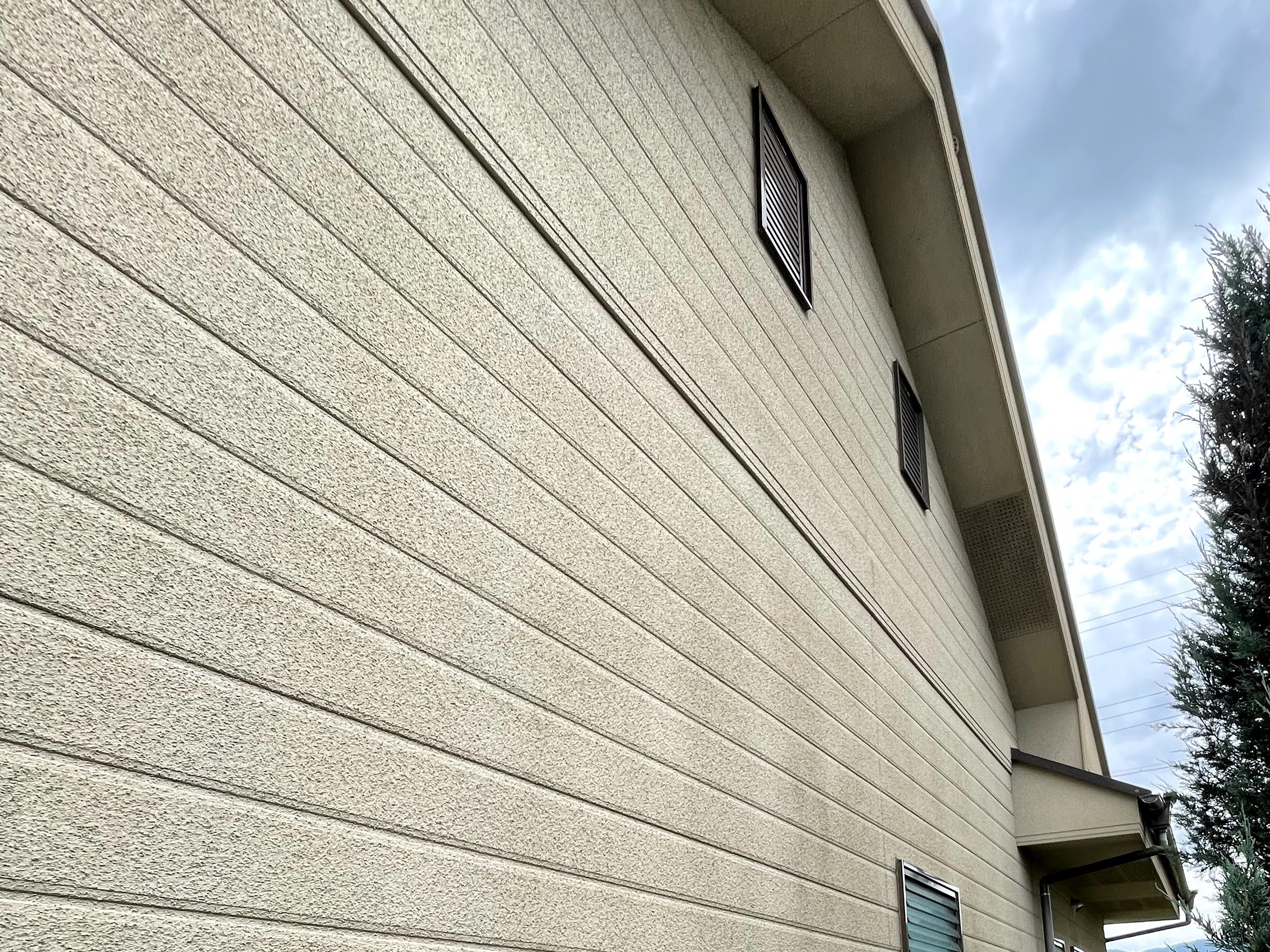 色褪せや汚れが確認できる状態