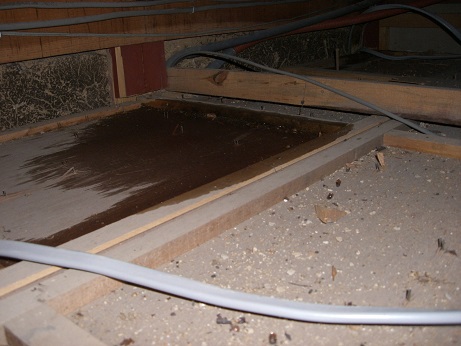 広島市東区、築15年程のカラーベスト屋根からの雨漏り相談。梅雨前に屋根の無料点検を活用！