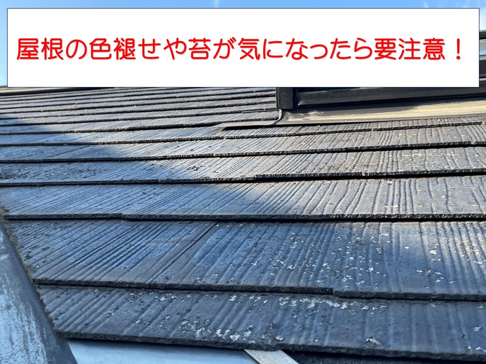 広島市南区、築30年カラーベスト屋根の劣化調査｜屋根カバー工法をご提案！