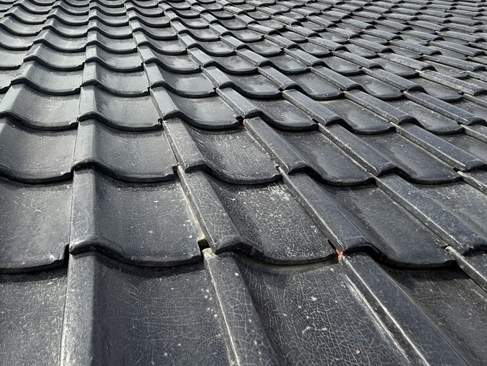 瓦表面に発生した網目状のひび割れ