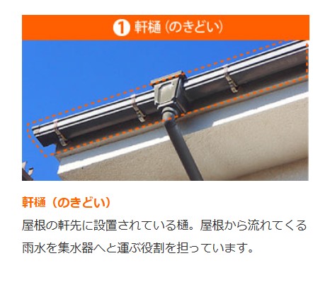 軒樋の説明
